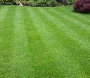 20160602_115416 20160602_115416