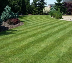 20160607_140946 20160607_140946