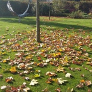 Břevnov 2015 podzim